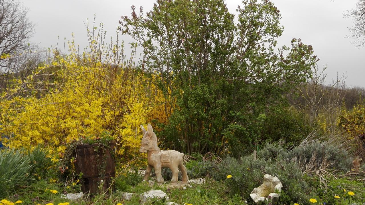منزل الضيف سارنانو  في Antica Dimora المظهر الخارجي الصورة
